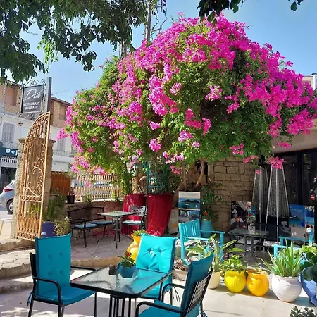 Amina * Zakynthos stad